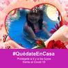 ertiqueta19